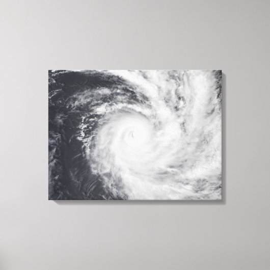 Cyclondierentuin in het zuidelijke deel van de Sti Canvas Afdruk (Voorkant)
