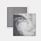 Cyclondierentuin in het zuidelijke deel van de Sti Magneet (Voorkant / Achterkant)