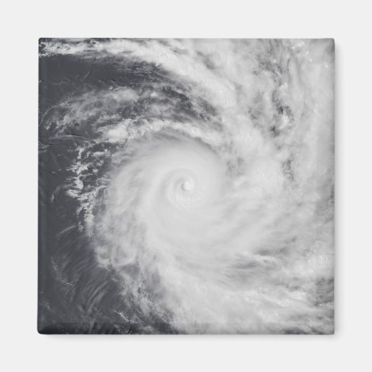Cyclondierentuin in het zuidelijke deel van de Sti Magneet (Voorkant)