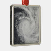 Cyclondierentuin in het zuidelijke deel van de Sti Metalen Ornament (Rechts)