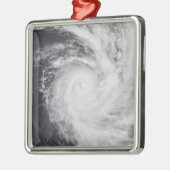 Cyclondierentuin in het zuidelijke deel van de Sti Metalen Ornament (Links)