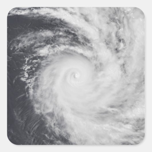 Cyclondierentuin in het zuidelijke deel van de Sti Vierkante Sticker (Voorkant)