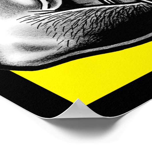 Cyclops/Closeup Poster (Hoek)