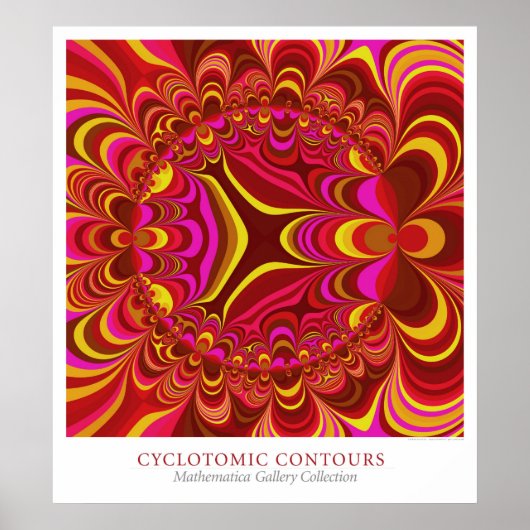 Cyclotomische contouren poster (Voorkant)