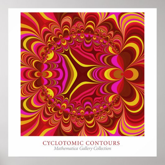 Cyclotomische Contouren Poster (Voorkant)