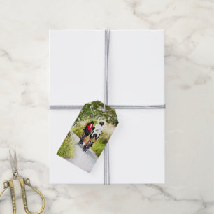 CYCLUS CADEAULABEL