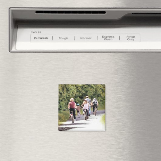 CYCLUS MAGNEET (Insitu (Vaatwasser))