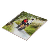 CYCLUS TEGELTJE (Zijkant)