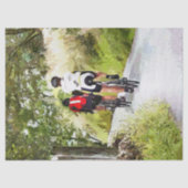 CYCLUS TISSUEPAPIER (Voorkant)