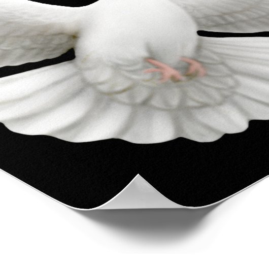 Cyclus van geweld eindigt hier Poster (Hoek)