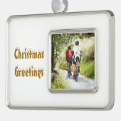 CYCLUS VERZILVERD OMLIJST ORNAMENT (Links)