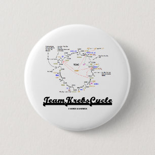 Cyclus voor team-krebs (cyclus citroenzuur - TCAC) Ronde Button 5,7 Cm