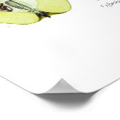 Cydonia vulgaris (Quince) Poster (Hoek)