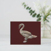 Cygnet ~ briefkaart (Staand voorkant)