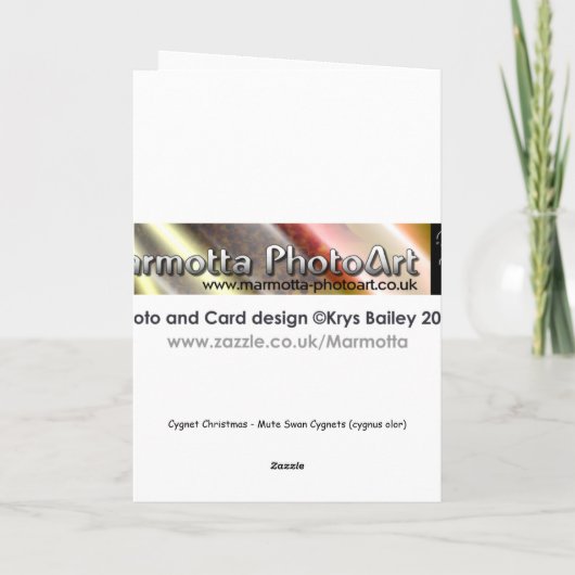 Cygnet Christmas Kaart (Achterkant)