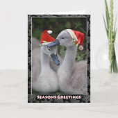Cygnet Christmas Kaart (Voorkant)