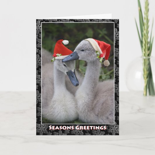 Cygnet Christmas Kaart (Voorkant)