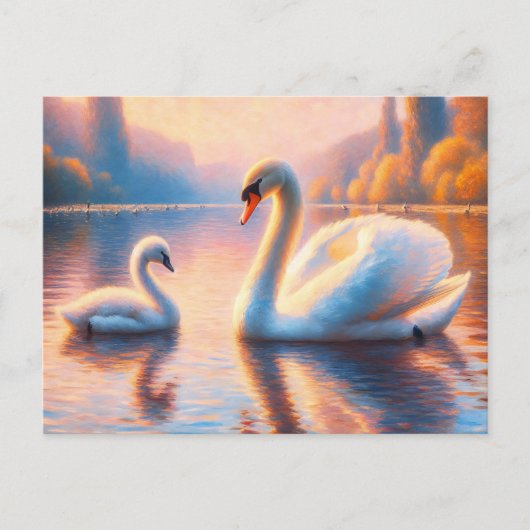 Cygnet en zwaan briefkaart (Voorkant)