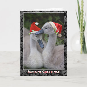 Cygnet-kerstkaart Feestdagen Kaart