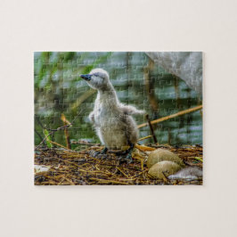 Cygnet Legpuzzel