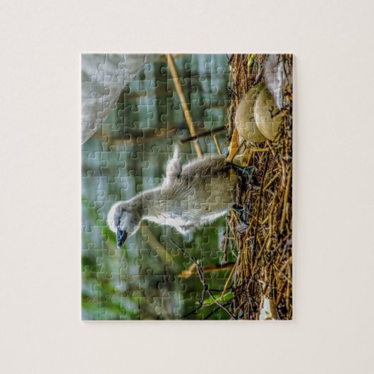 Cygnet Legpuzzel (Verticaal)