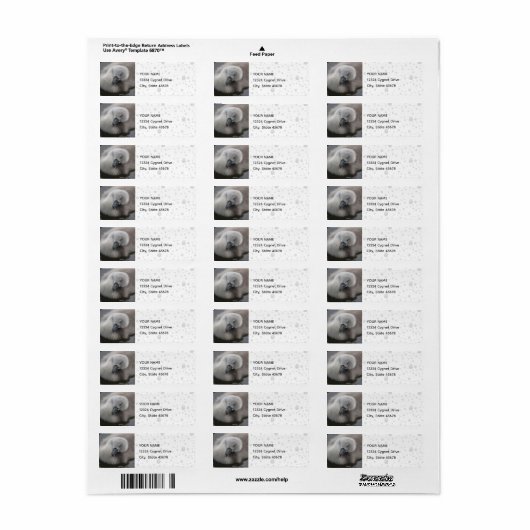 Cygnet Swan in de Regen Etiket (Full Sheet)