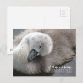 Cygnet Swan in het Rijnse Inspirerend Briefkaart (Voorkant / Achterkant)