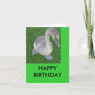 Cygnets op het land, GELUKKIGE VERJAARDAG Kaart