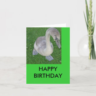 Cygnets op het land, GELUKKIGE VERJAARDAG Kaart