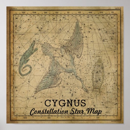 Cygnus Swan Constellation Star Map Poster (Voorkant)