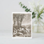 Cygnus transformeerde naar een Swan en Phaeton's S Briefkaart (Staand voorkant)