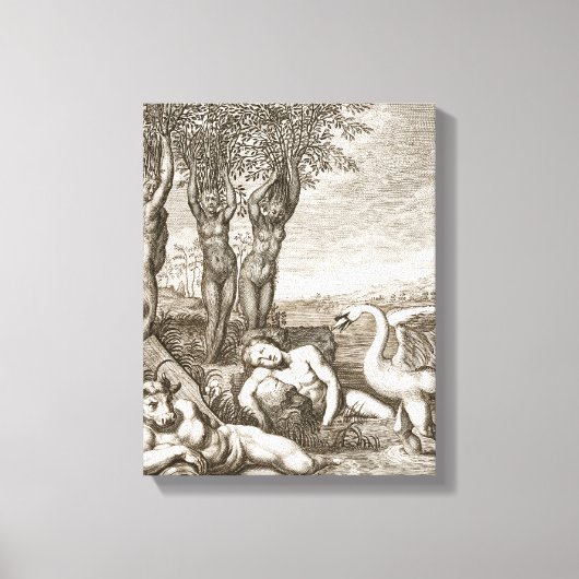 Cygnus transformeerde naar een Swan en Phaeton's S Canvas Afdruk (Voorkant)