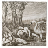 Cygnus transformeerde naar een Swan en Phaeton's S Tegeltje (Voorkant)