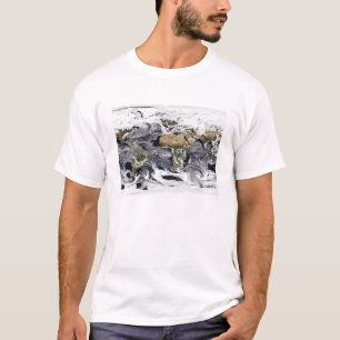 Cylindrische, op gelijke afstand projectie t-shirt