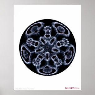 Cymatica: Muzieknotitie C Poster