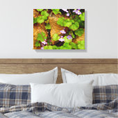 Cymbalaria Muralis Canvas Print (Insitu (Slaapkamer))