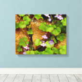 Cymbalaria Muralis Canvas Print (Insitu (Houten vloer))