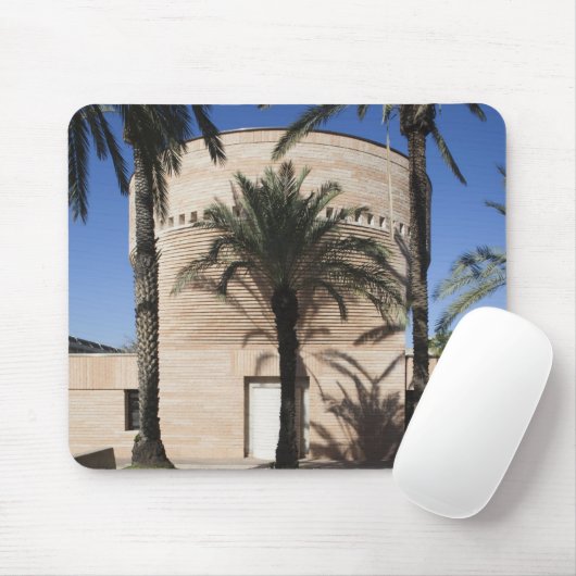 Cymbalista Synagogue Muismat (Met muis)