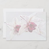 Cymbidium Baltic Dew Freckle Face Huwelijksproduct Kaart (Achterkant)