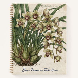 Cymbidium lowianum orchidee notitieboek