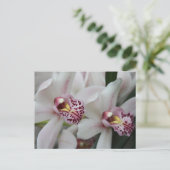 Cymbidium Orchid Briefkaart (Staand voorkant)