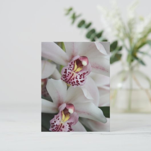 Cymbidium Orchid Briefkaart (Staand voorkant)