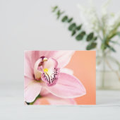 Cymbidium Orchid Briefkaart (Staand voorkant)
