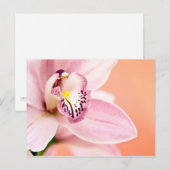 Cymbidium Orchid Briefkaart (Voorkant / Achterkant)
