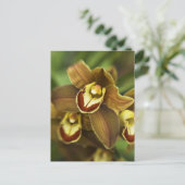 Cymbidium Orchid Briefkaart (Staand voorkant)