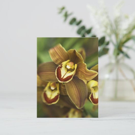 Cymbidium Orchid Briefkaart (Staand voorkant)