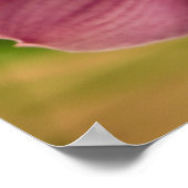 Cymbidium Orchid Poster (Hoek)