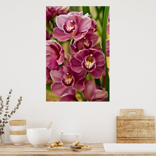 Cymbidium Orchid Poster (Keuken)