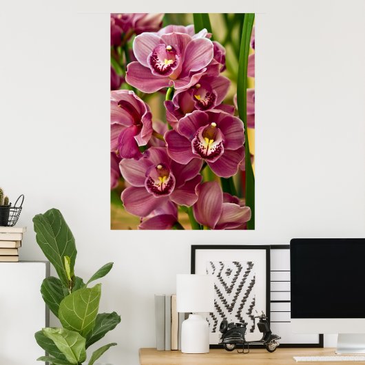 Cymbidium Orchid Poster (Thuiskantoor)