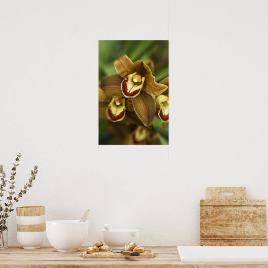 Cymbidium Orchid Poster (Keuken)